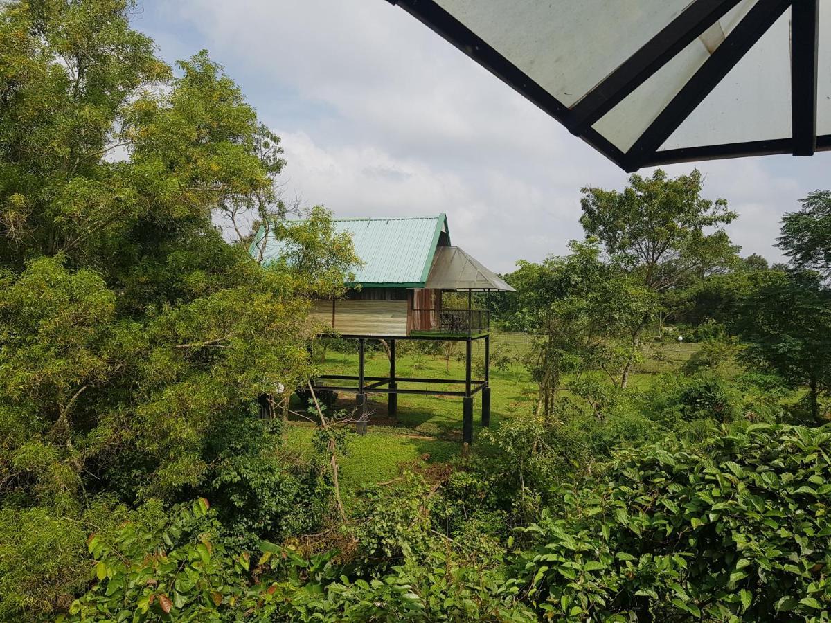 Nice Place Resort Dambulla Exterior photo
