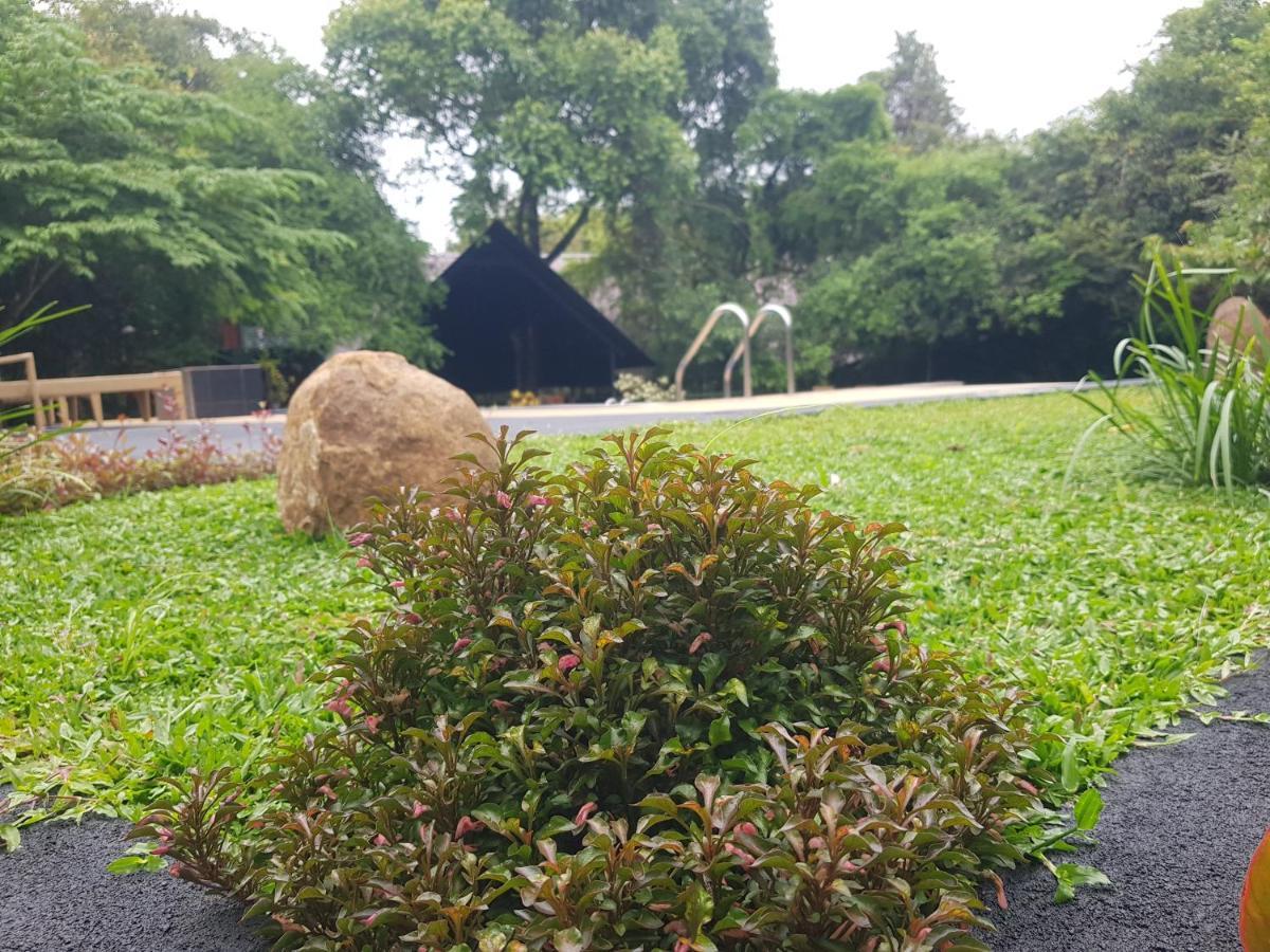 Nice Place Resort Dambulla Exterior photo