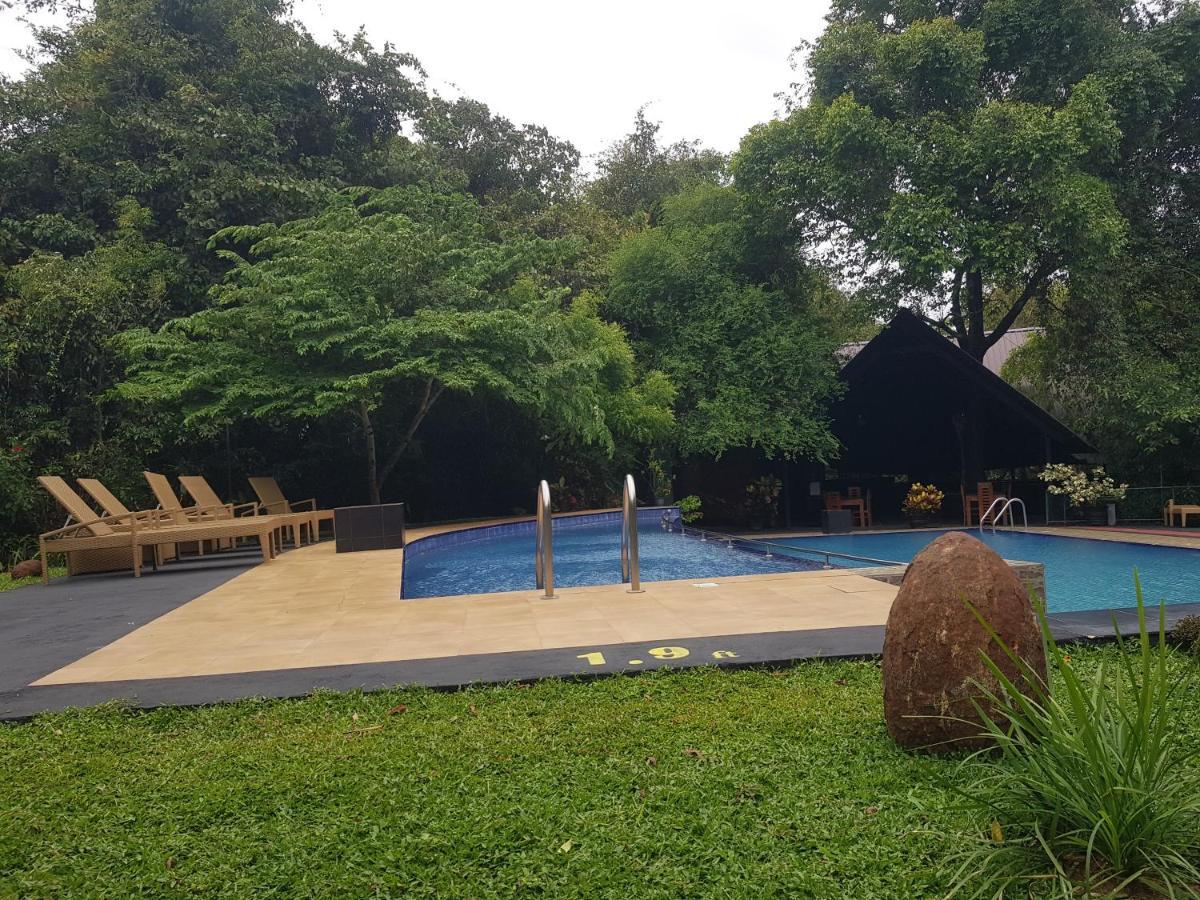 Nice Place Resort Dambulla Exterior photo