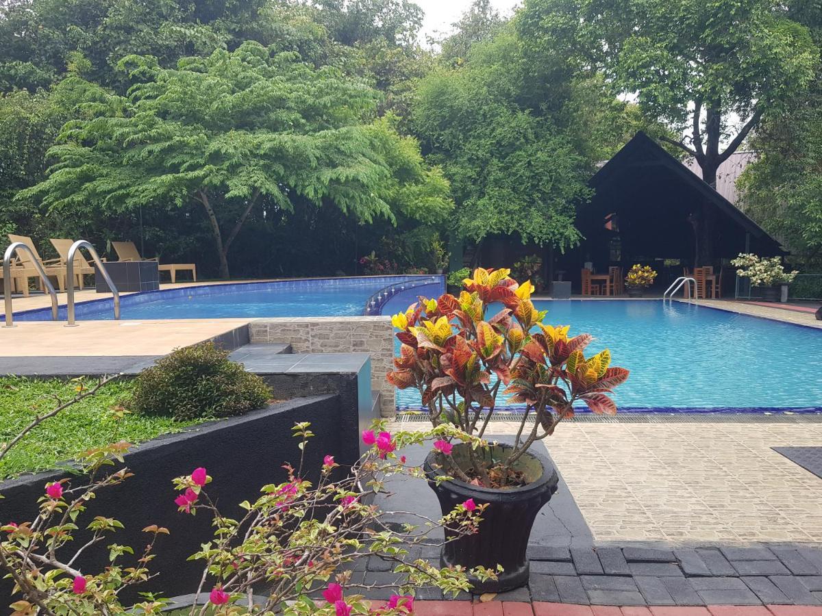 Nice Place Resort Dambulla Exterior photo