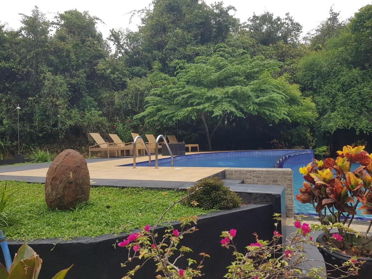 Nice Place Resort Dambulla Exterior photo