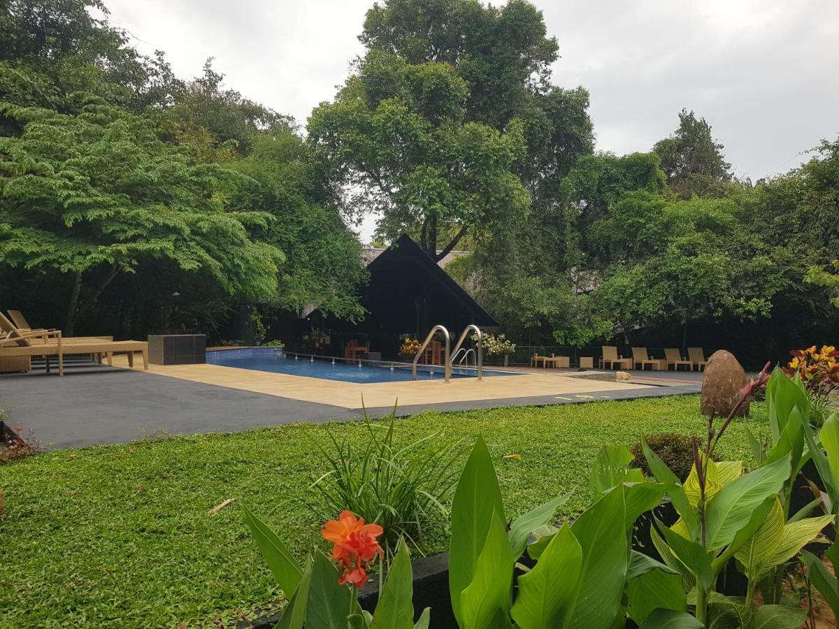 Nice Place Resort Dambulla Exterior photo